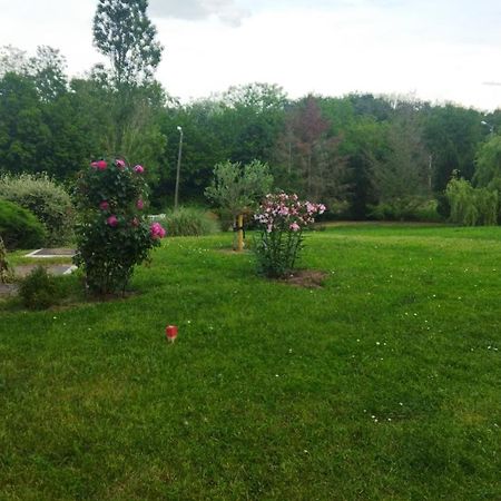 Chambre Avec Entree Independante Dans Un Ecrin De Verdure Dommartin  Dış mekan fotoğraf
