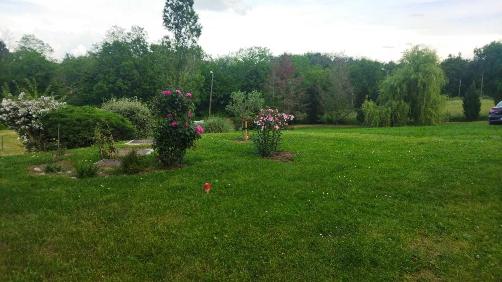 Chambre Avec Entree Independante Dans Un Ecrin De Verdure Dommartin  Dış mekan fotoğraf